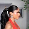 Frame Grabber 1.6.4 Signature frontal Ponytail